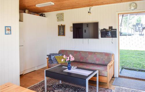 TV a/nebo společenská místnost v ubytování 2 Bedroom Pet Friendly Home In Figeholm