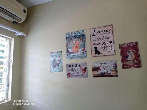 Un mur avec des affiches et des livres dessus dans l'établissement Paraiso Hortensia Ecolodge, à Santiago de los Caballeros