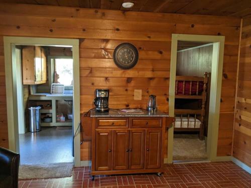 a kitchen with a counter in a wooden wall at Baltyr Cabin in Miramonte