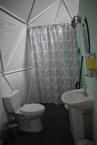 a bathroom with a toilet and a sink at Roble Coral Glamping in Sarapiquí
