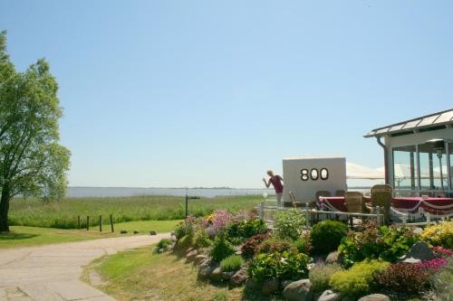 a person standing on a roller coaster in a garden at Haus Schwalbe mit Vineta Komfort Häusern in Zempin