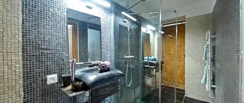 a bathroom with a sink and a shower and a toilet at L’Authentique situé à 10 m des Arènes de Nîmes in Nîmes