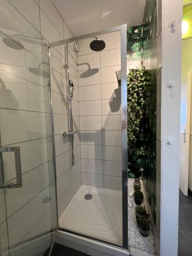 une douche avec une porte vitrée dans une salle de bain dans l'établissement Le Central Victoria I - Central Point - 50m2, à Nancy