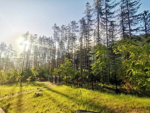 Арборетум Вила & Ресторант – Photos 3