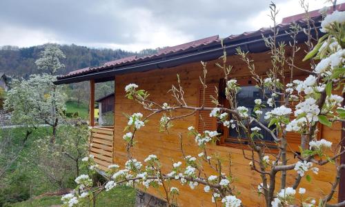 別荘から撮影された、または一般的な山の景色