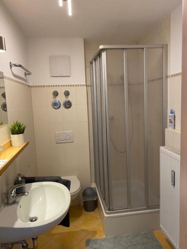 La salle de bains est pourvue d'une douche, d'un lavabo et de toilettes. dans l'établissement Ferienwohnung Vörstetten, à Vörstetten
