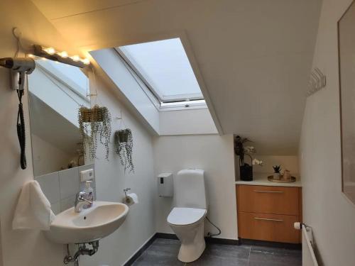 a bathroom with a sink and a toilet and a skylight at G10 Apartments in Akureyri