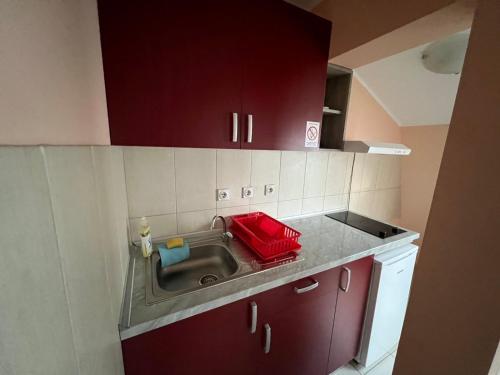 a kitchen with a sink and a red tray at Apartmani Plaža in Bor