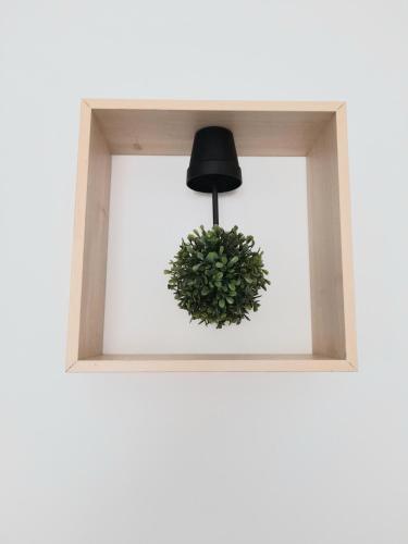 une lampe noire et une plante verte dans une fenêtre dans l'établissement Le travers (centre ville Joigny), à Joigny