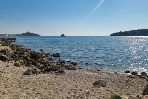 a rocky beach with a ship in the water at Porton Nature Hideouts in Rovinj