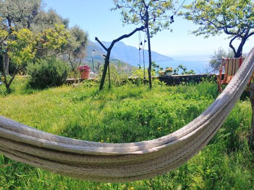 a hammock in a field with a view of the ocean at Amalfi Coast, Positano, Sorrento, Capri, Garden, Villa Carcara in Colli di Fontanelle