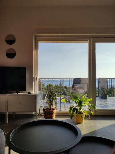 Serendipity Apartment