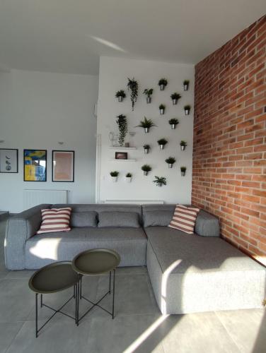 Serendipity Apartment