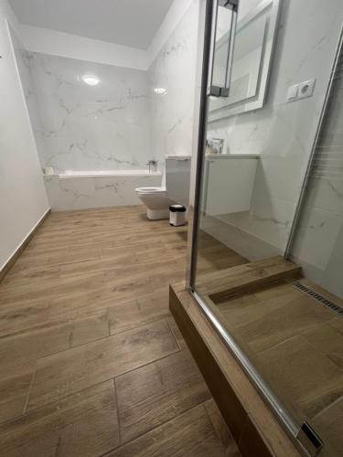 a bathroom with a shower and a toilet and a sink at Casa Mignon in Oradea