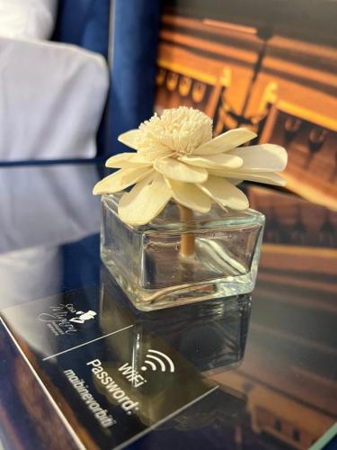 a vase with a flower in it on a table at Casa Mignon in Oradea
