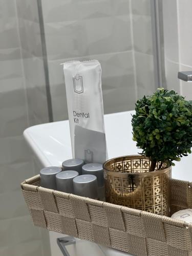 a basket of toiletries on a sink with a plant at Casa Mignon in Oradea