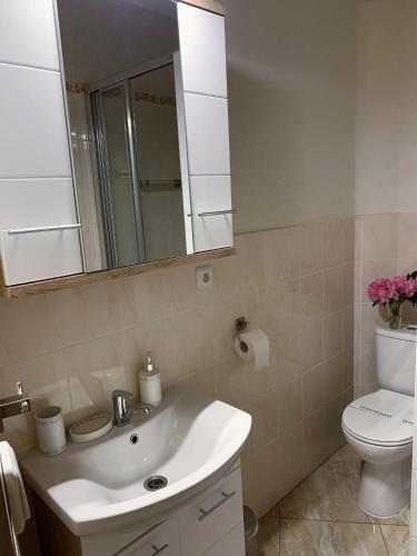a bathroom with a sink and a toilet and a mirror at Penzión Deloris in Trenčín