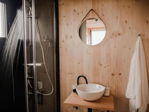 ein Bad mit einem Waschbecken und einem Spiegel in der Unterkunft Parcel Tiny House I Chèvrerie de Rilly in Cravant