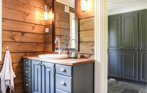 a bathroom with a sink and wooden walls at Awesome Home In Kvinlog With 3 Bedrooms And Wifi in Kvinlog