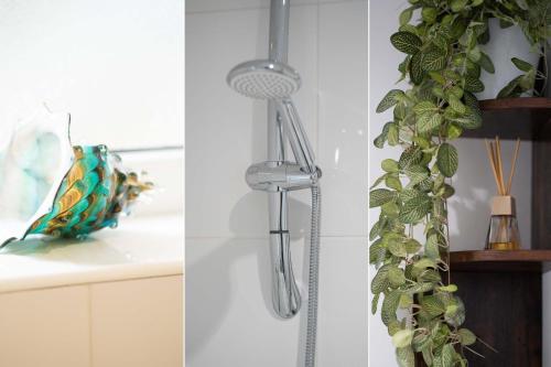 a shower head hanging on a wall in a kitchen at The Barn in St Ives