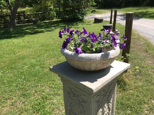 a large stone planter with purple flowers in it at Angolo di Paradiso B&B in Grizzana