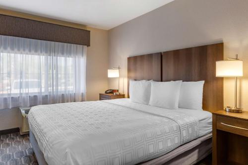 Best Western North Phoenix Hotel Image