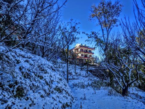 Το Orchid Homestay τον χειμώνα