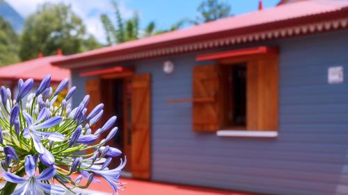 a purple flower in front of a tiny house at Le Be-Mahot - Hell Bourg in Salazie