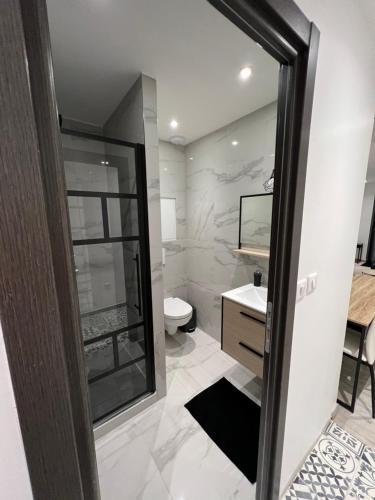 ein Badezimmer mit einem WC, einem Waschbecken und einem Spiegel in der Unterkunft Appartement haut de gamme avec Jacuzzi Champagnole in Champagnole