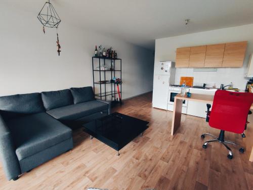 un salon avec un canapé et une table et une cuisine dans l'établissement T2 Bis avec Terrasse vue Montagne proche mer, commerces et Biarritz, à Bidart