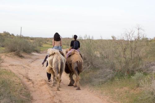 two people riding on camels down a dirt road at Kyzylkum Nights Camp & Family Yurt in Nurota