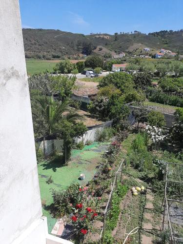 a view of a garden with flowers and plants at Casa dos Pais in Odeceixe