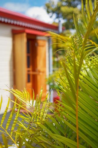 a green bush in front of a house at Le Be-Mahot - Hell Bourg in Salazie