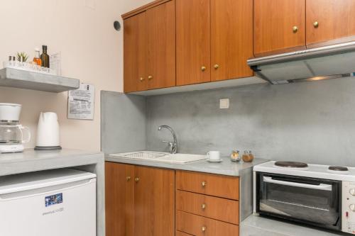 a kitchen with a sink and a stove top oven at Vira Vivere Houses in Plaka Milou