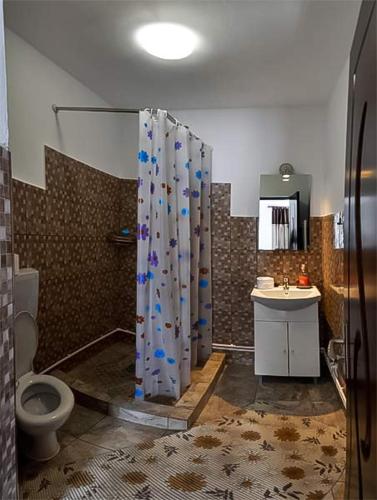a bathroom with a shower and a toilet and a sink at Pensiunea Narcisa cu Ciubar in Mălăeşti