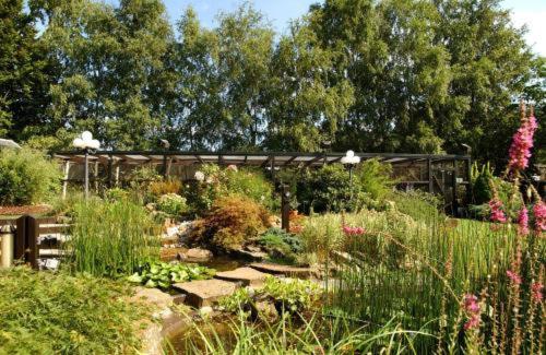 a garden with a bunch of plants and flowers at Hostellerie Au Vieux Hetre in Jalhay