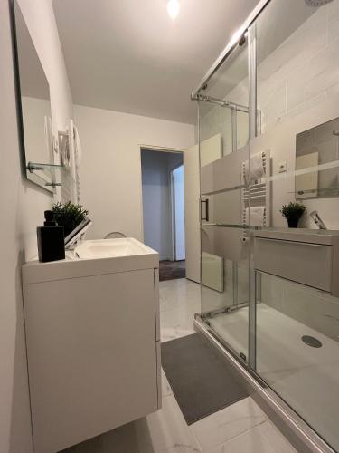 a bathroom with a sink and a glass shower at Convivial PAUL SIBRA-T2-BILLARD- wifi-Vélo in Castelnaudary