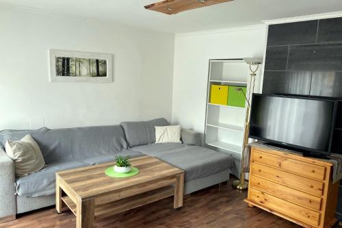 sala de estar con sofá y TV en Areit Apartments - Low Budget en Zell am See
