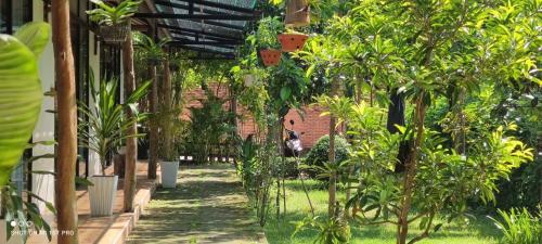 a garden with trees and a brick building at Bebe Homestay Phu Quoc in Phu Quoc
