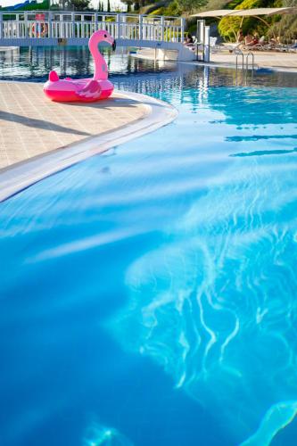 Bazén v ubytování La Blanche Island Bodrum nebo v jeho okolí