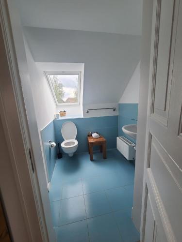 uma casa de banho azul com um WC e um lavatório em Landhaus Hoisdorf em Hoisdorf
