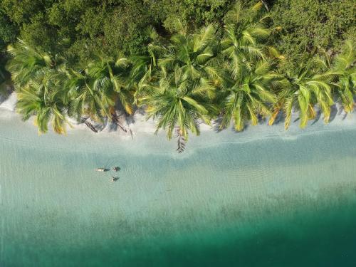 an overhead view of a beach with palm trees at Eclypse de Mar Acqua Lodge in Bastimentos