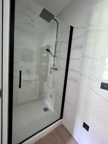 a shower with a glass door in a bathroom at BO LODGE in Le Bourg-dʼOisans