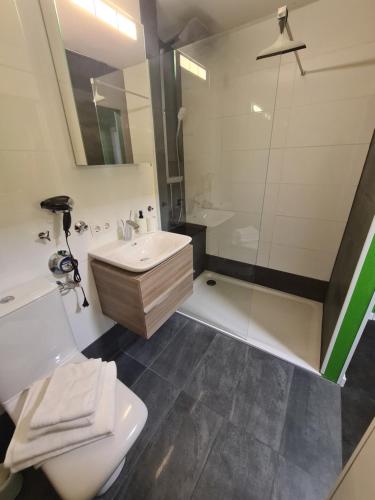 a bathroom with a sink and a shower and a toilet at Apartment am Eiskanal in Augsburg