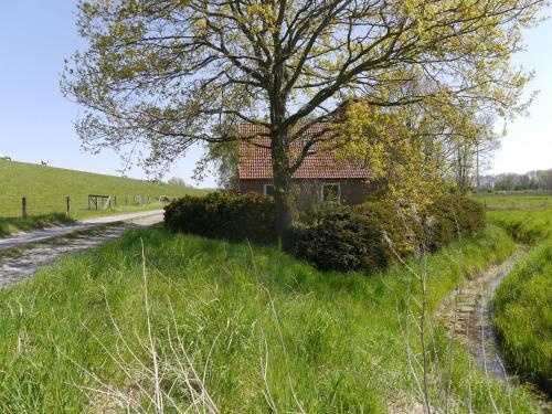 a house in the middle of a field with a tree at Ferienhaus am Nordseedeich in Alleinlage in Hooksiel