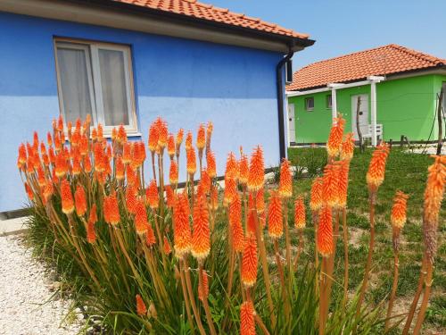 Termalna Rivijera Apartmani – Photos 2