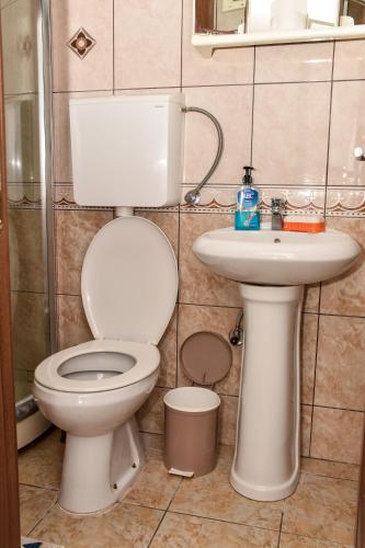 a bathroom with a toilet and a sink at Apartments Simun in Kotor