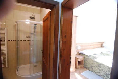 a bathroom with a shower and a bed at Ivanek guest house in Zvíkovské Podhradí
