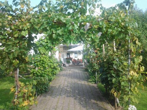 an archway in a garden with an apple tree at Ferienweingut Arnold Thiesen in Bruttig-Fankel