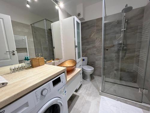 y baño con lavadora y ducha. en PLATINIUM ViBE en Cluj-Napoca